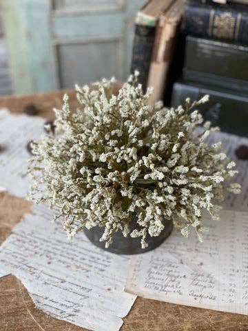 VENTA AL POR MAYOR Semiesfera Blanca/Crema - 9 Pulgadas para venta al por mayor de Vintage Market & Co