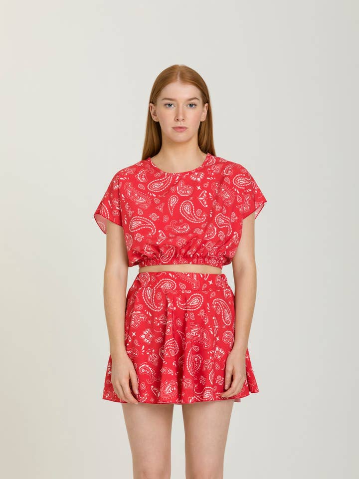 Pack paisley wheel miniskirt for wholesale by Jeremy Jean