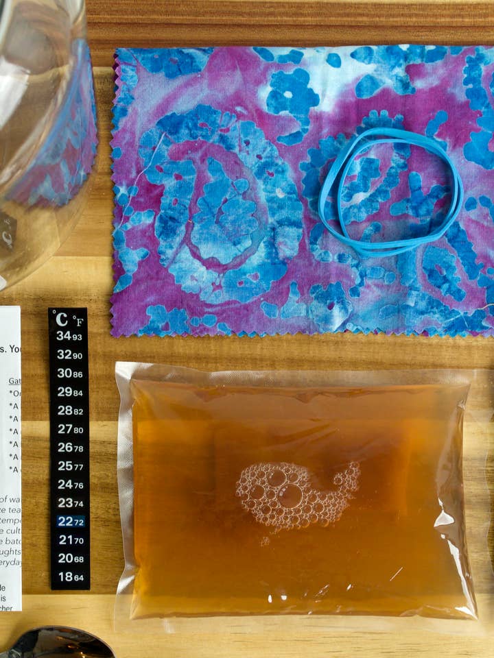 The Just Add Water Kombucha Home Brewing Starter Kit for wholesale by Oregon Kombucha