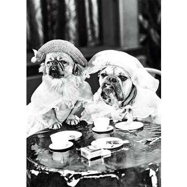 Tempo del tè per la vendita all'ingrosso da parte di Retrospect Greeting Cards