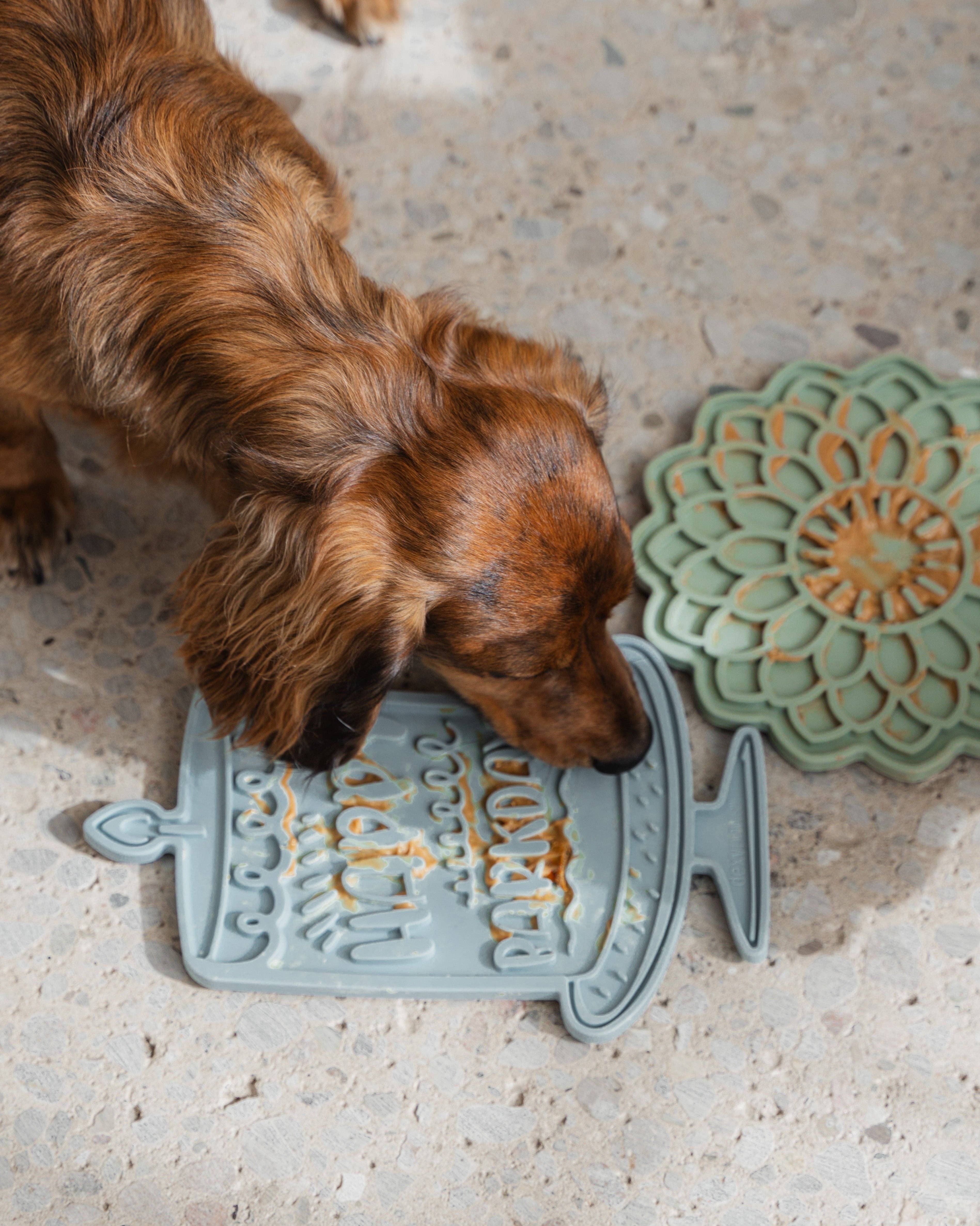 dexypaws – Tapete para comedouro – Cão por atacado – Tapete de lambedura calmante Barkday Bash para enriquecimento2