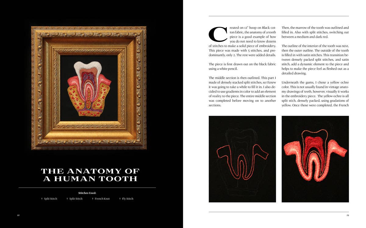 Blue Star Press - Wholesale Crafts, Hobbies & DIY Book - Stitchcraft: An Embroidery Book of Simple Stitch Patterns5