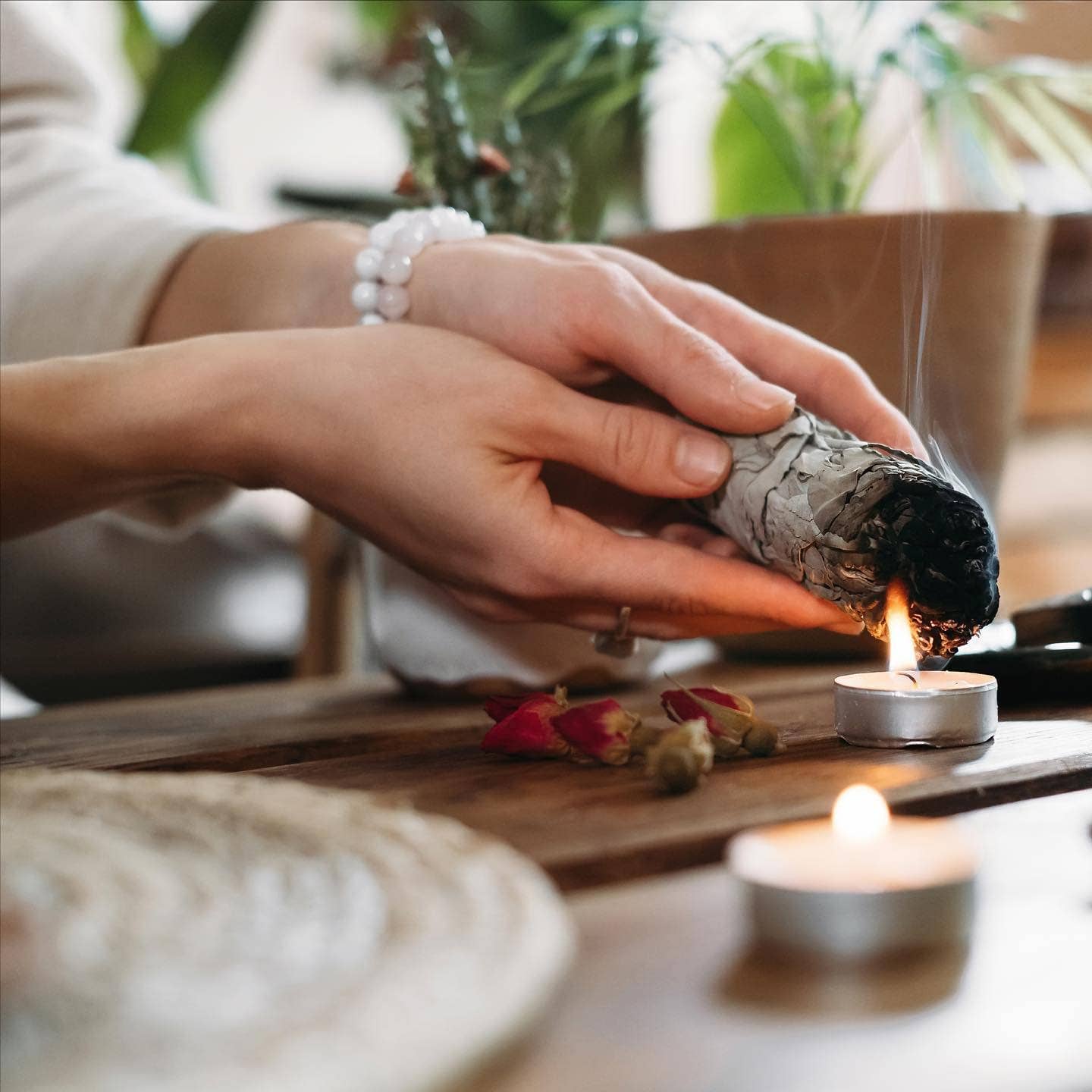 Espoir & Amour – wholesale Sage bundle – White Sage 4" - Organic California Hand Tied Smudge Sticks3