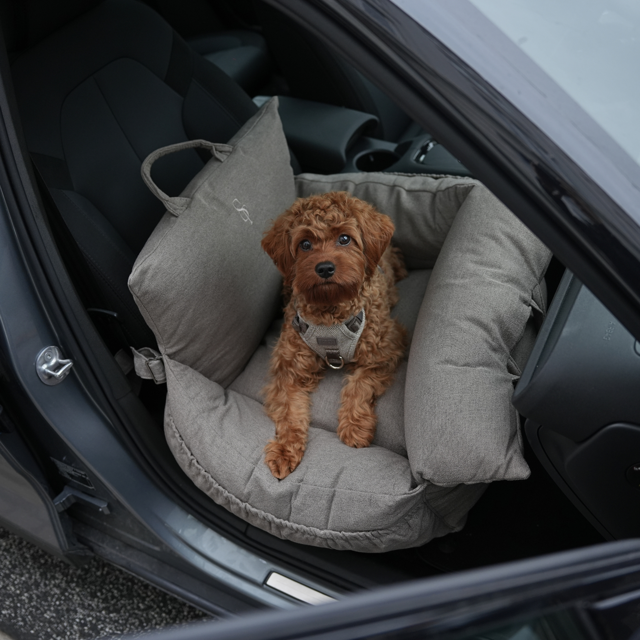 Staey - Wholesale Pet Carrier - Dog - Lara Car Seat | Taupe 2.01