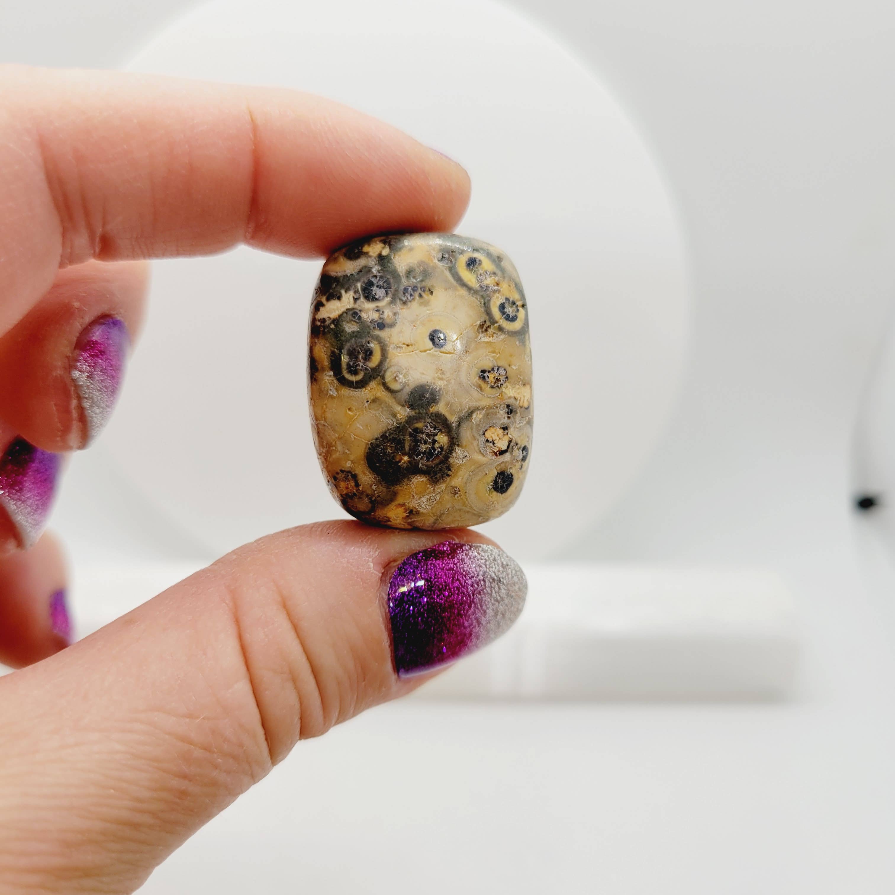 The Raven's Edge – Engroshandel Spirituelle sten og krystaller – Leopard hud Jasper Tumbles Crystal Tumbles Metafysisk1