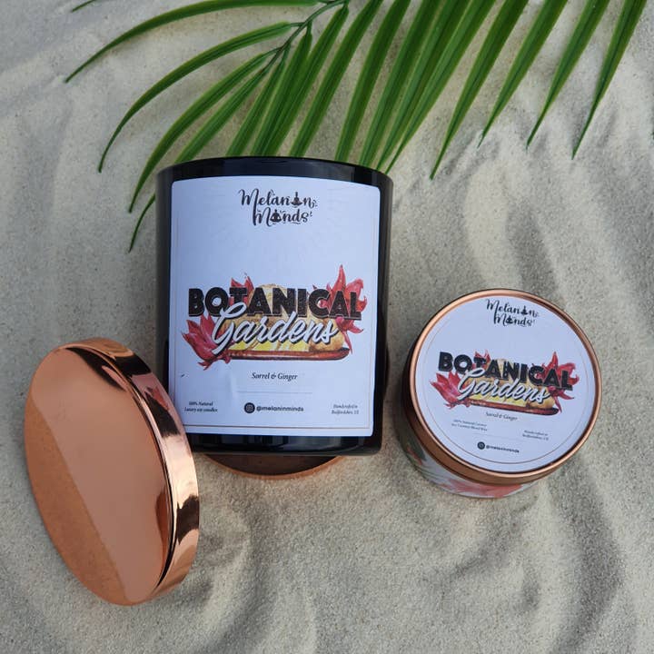 Botanical Gardens | Sorrel & Ginger Candle for wholesale by Melanin Minds
