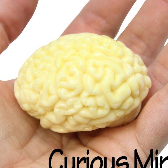 1 Brain Squishy Sticky Stress Ball - Body Parts - Anatomy for wholesale by Curious Minds Toys