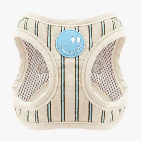 Harnais Daisy Stripe Step-In pour la vente par Puppy Gallery