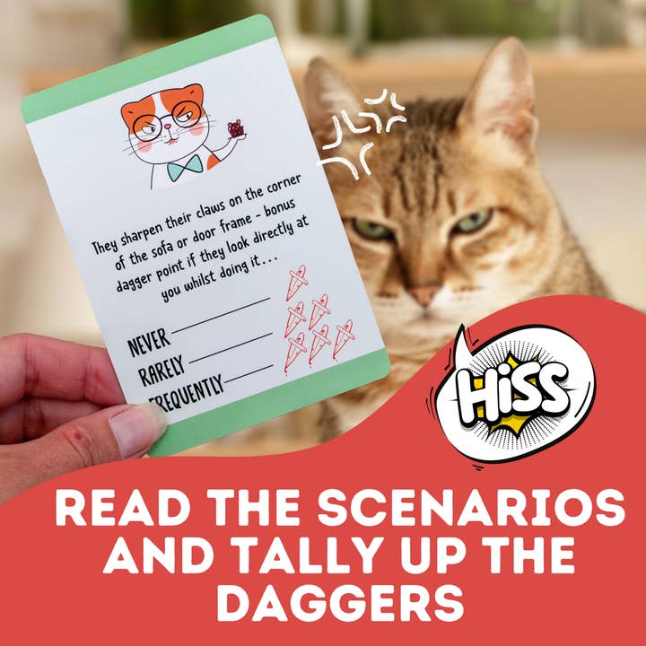 Boxer Gifts - Wholesale Card Game - BESTSELLER - Is Your Cat is Trying to Kill You Card Game