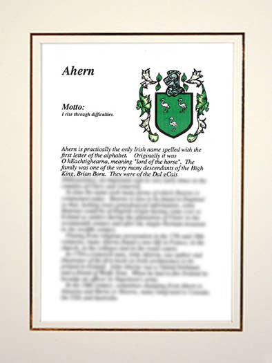 Ahern for wholesale by Family Histories