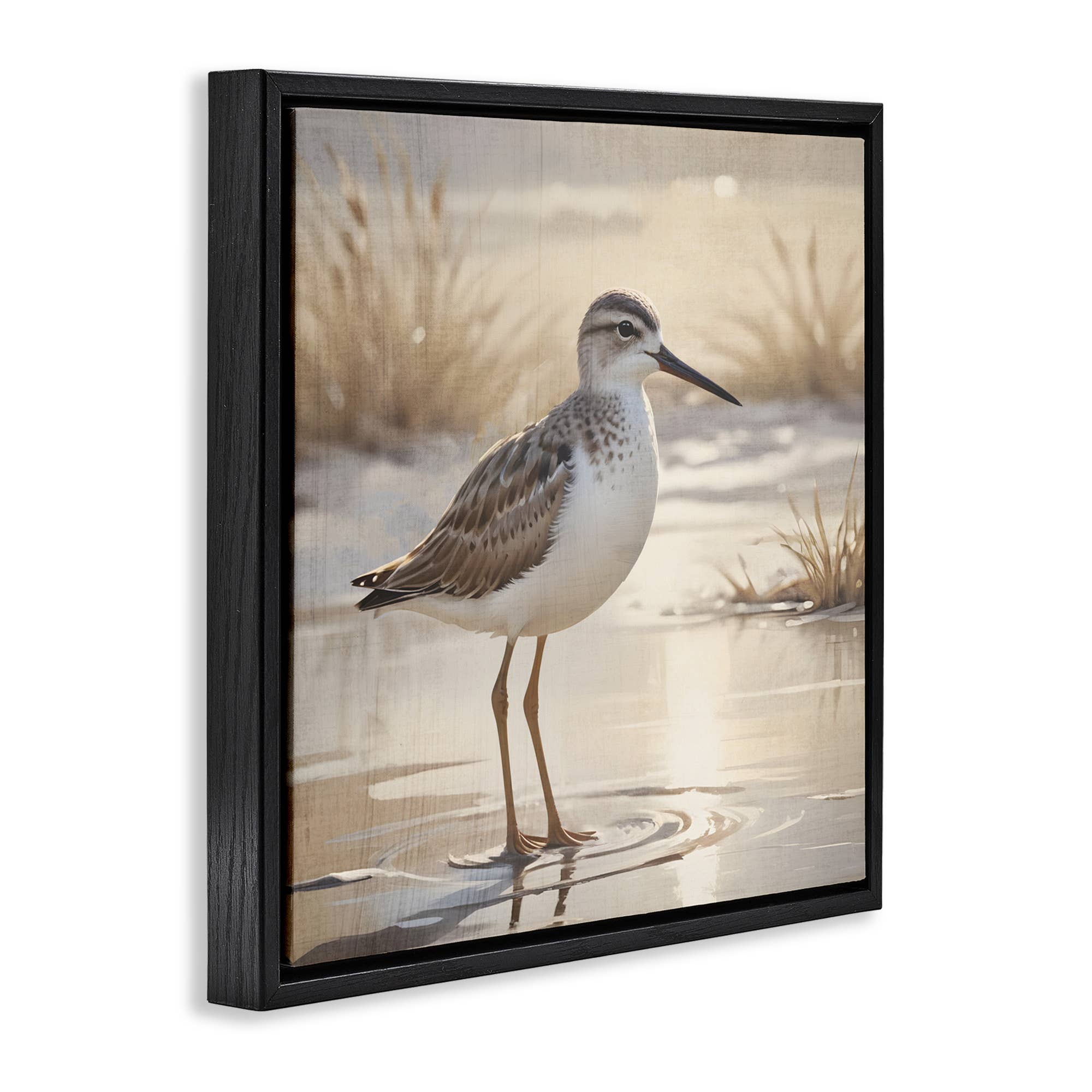 Stupell Industries – wholesale Wall sign – Sunlit Sandpiper in Shallow Water - Framed Wall Art19