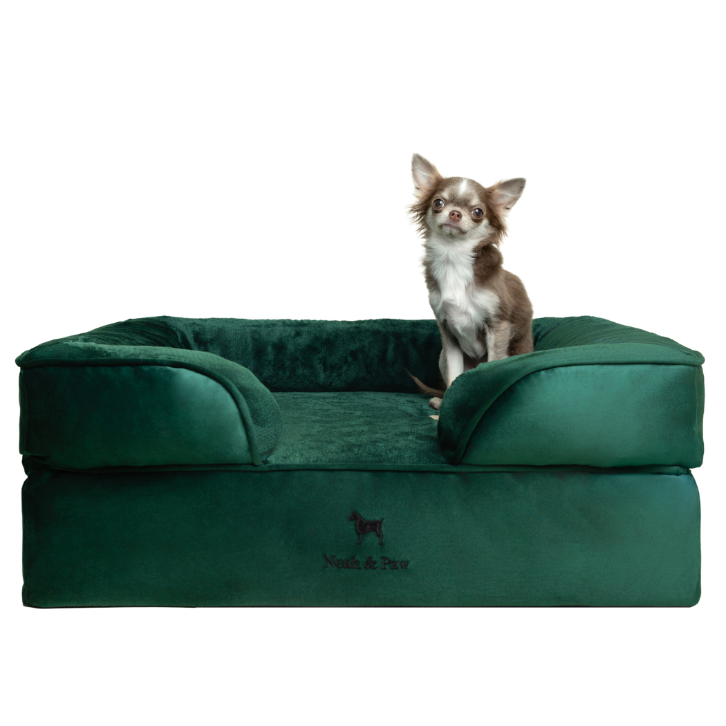 NOAH AND PAW LLC - Wholesale Bed voor huisdieren- Kat/hond - Velvet orthopedisch hondenbed met memoryfoam en verkoelende gel1