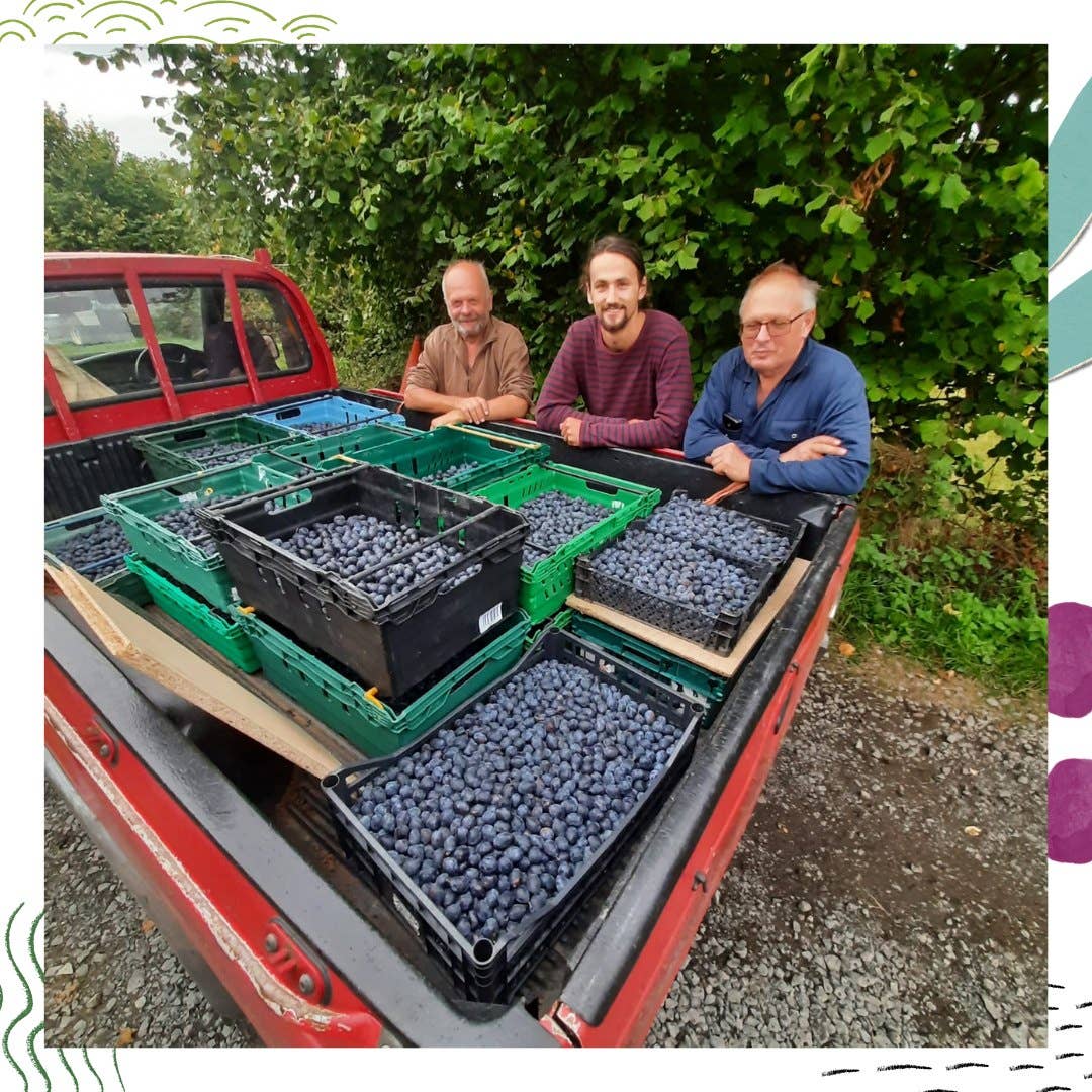 Fruits of the Forage – wholesale Jam/jelly – £120 Starter Bundle1