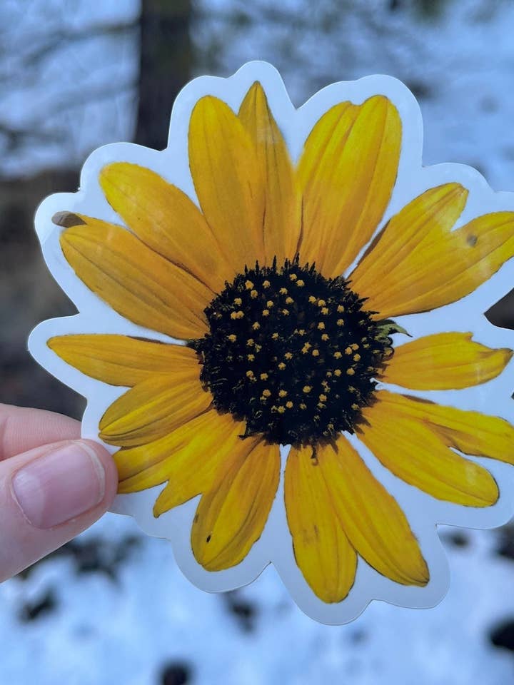 Adesivo Oregon Black Eyed Susan per la vendita all'ingrosso da parte di Stick Outside