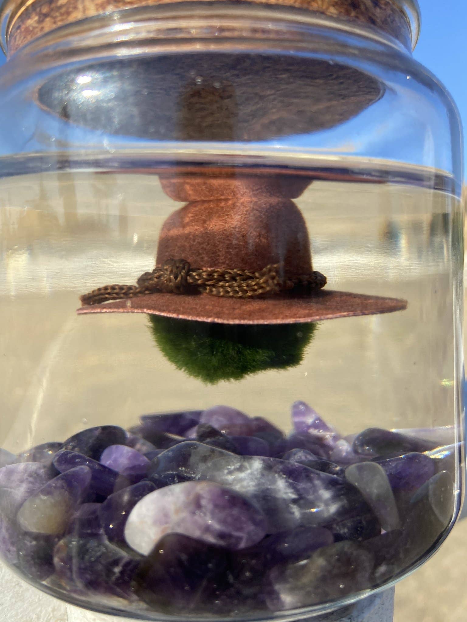 Moss Amigos | Moss Ball Terrariums - Wholesale Cowboy Hat - Unisex - Country Hat6