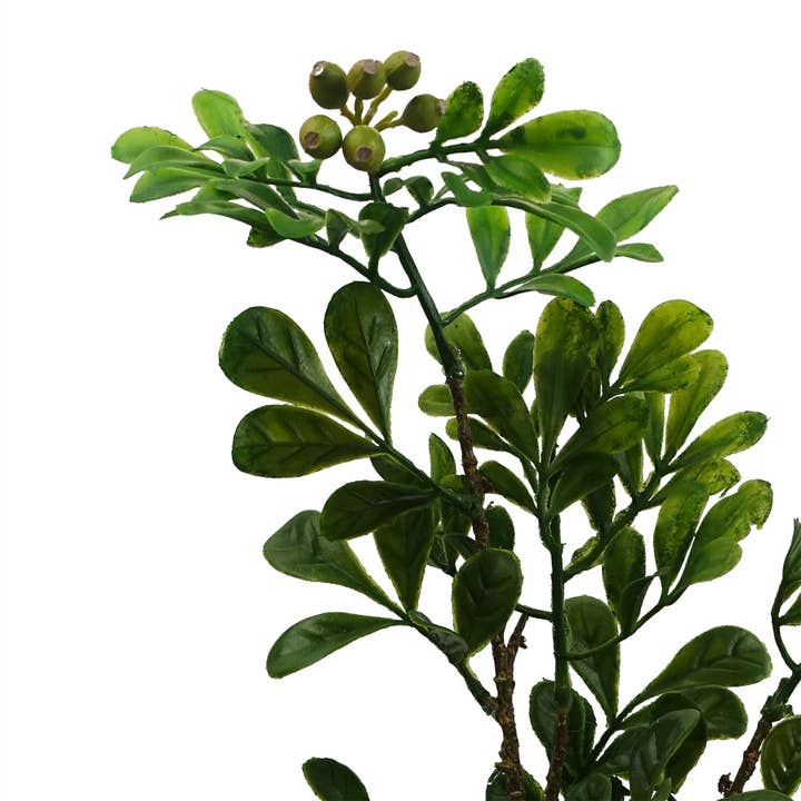 Leaf Design UK LTD – wholesale Artificial plant – Leaf Design 45cm Artificial Aglaia Odorata Bonsai Ficus Tree3