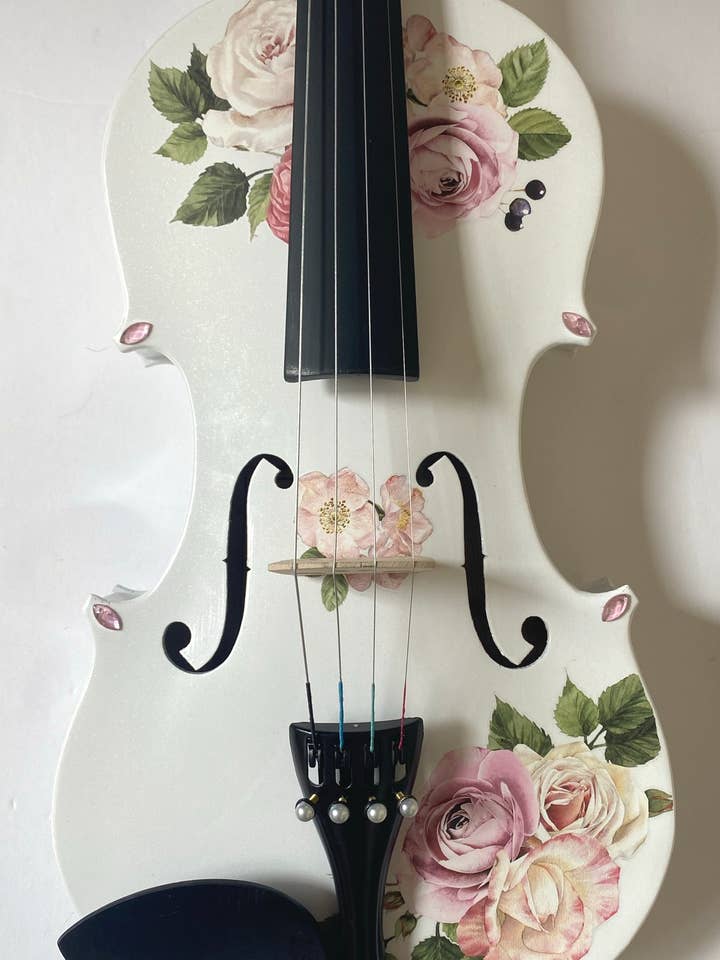 Rose Delight Violin Outfit for engroshandel hos Rozanna's Violin
