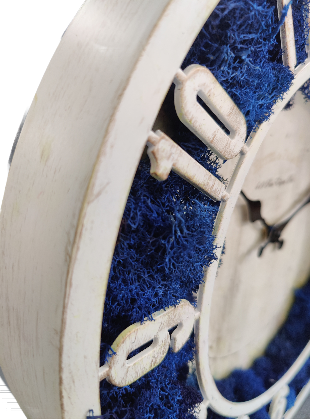 Moss House - Wholesale Live Plant - Reindeer Moss Stabilized Lichen Royal Blue by MossHouse1