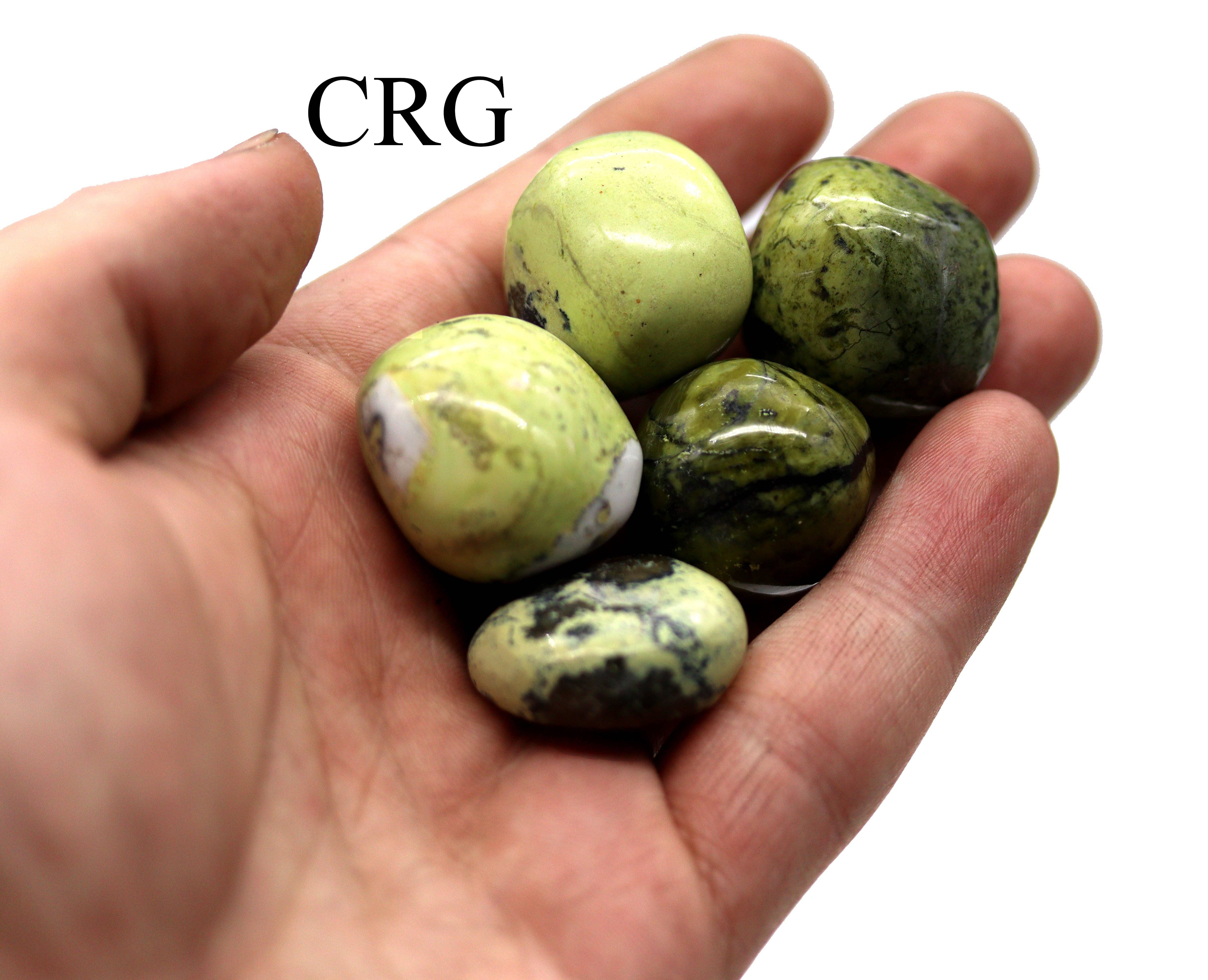 Crystal River Gems LLC - Wholesale Spiritual Stone/Crystal - 8 OZ LOT - Peru Green Serpentine Tumbled / 25-35 MM AVG2
