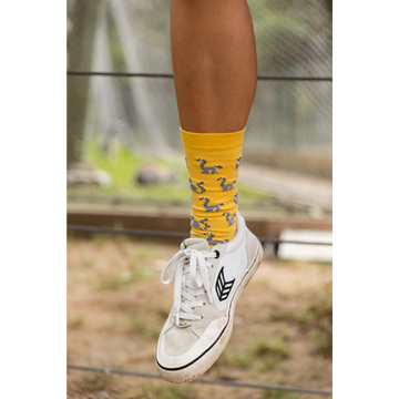 CHULÉ SOCKS - Vendita all'ingrosso Calzini - Unisex - LEMURI3