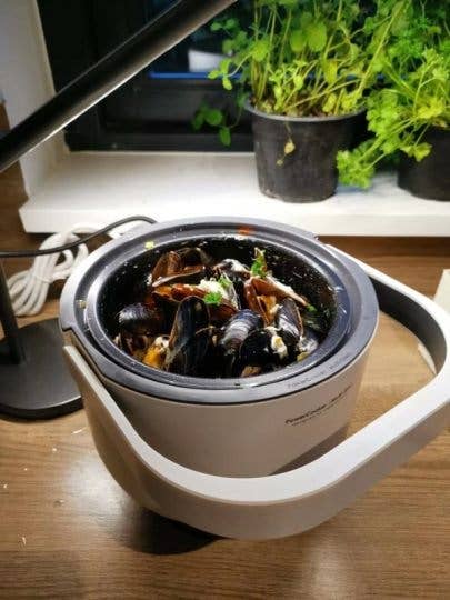 Allocacoc DesignNest - Wholesale Kitchen Appliance - PowerCooker - multi-cooker with detachable heating base16