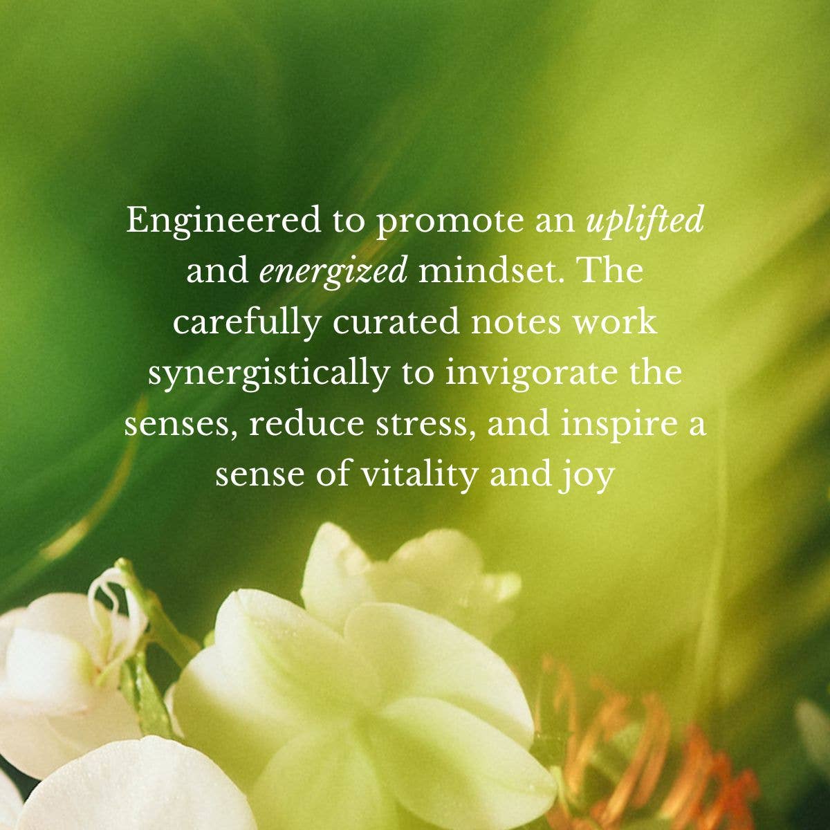 JUARA Skincare - Wholesale Roll-On Fragrance - Tiare Jasmine Perfume Oil  0.34 Oz3