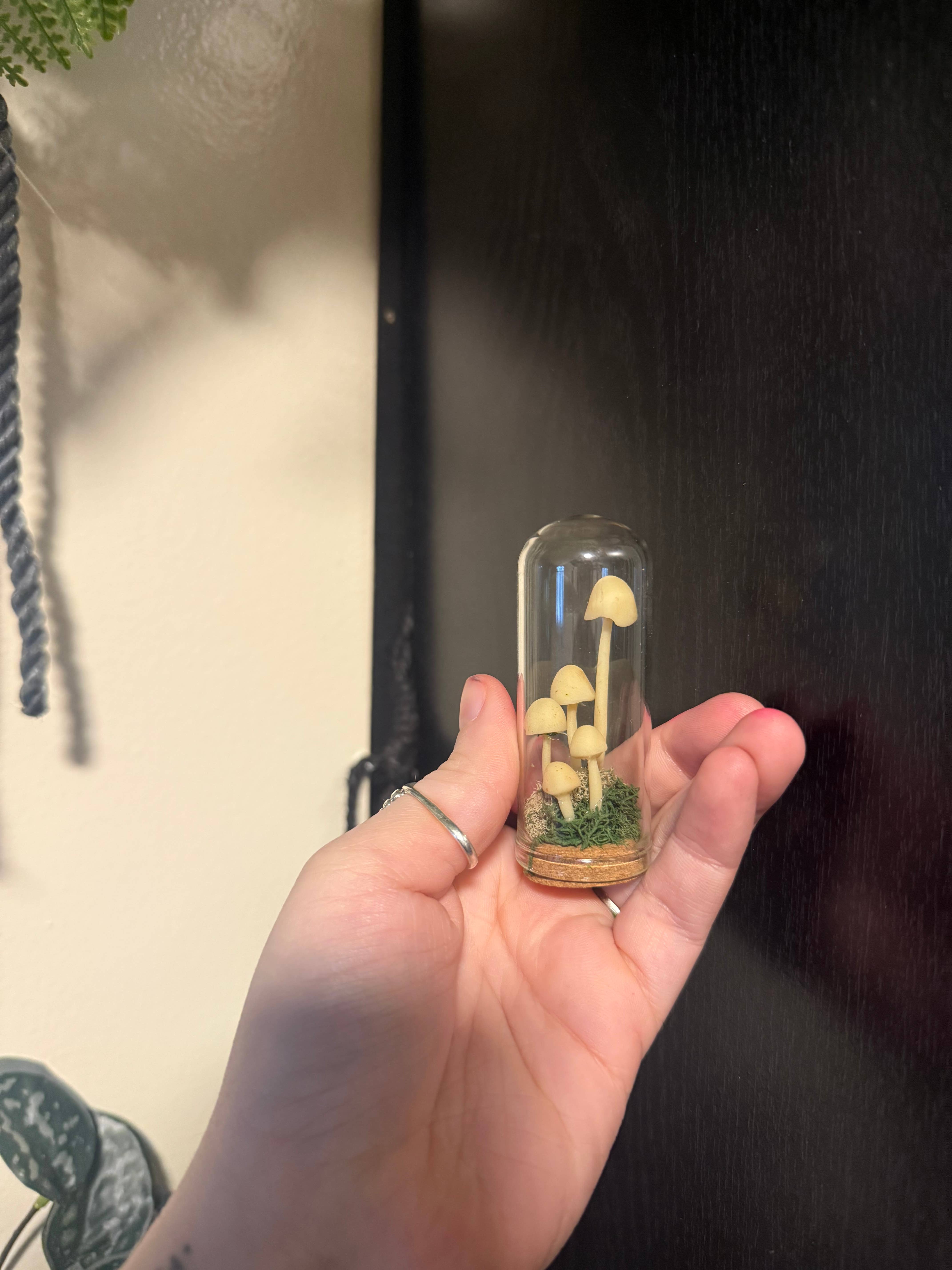 Leafy Ann Art - Wholesale Sculpture - Mushrooms glow mushroom terrarium7