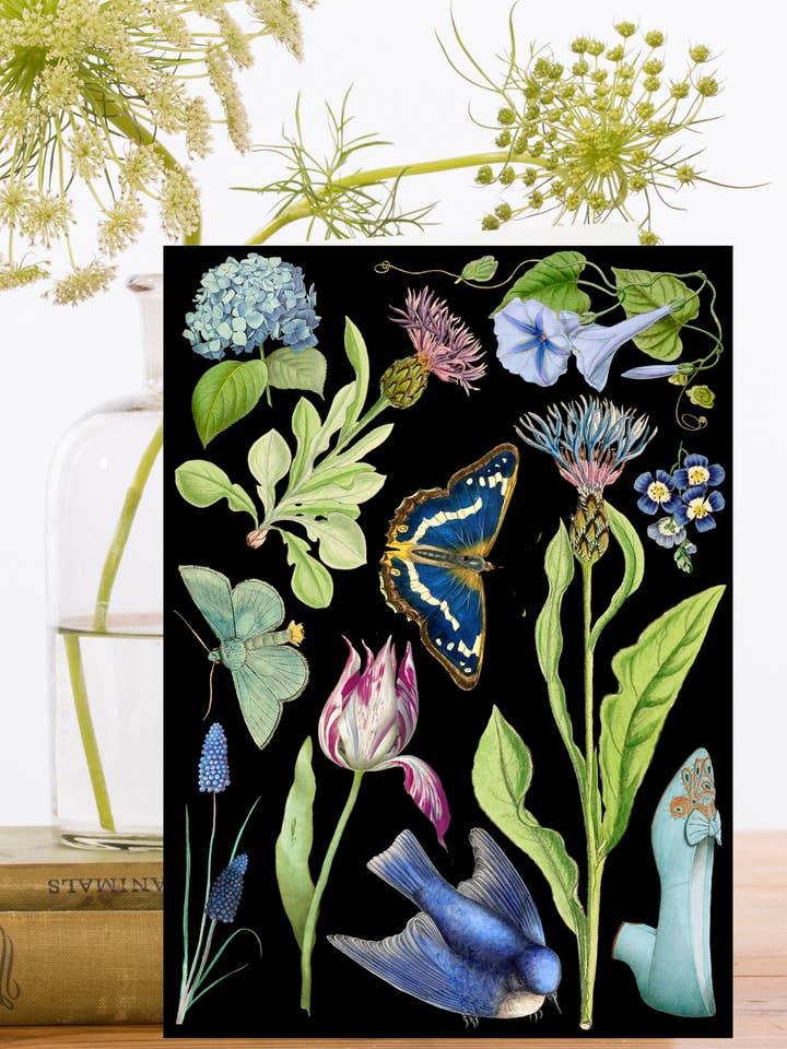 RS245P ~ Blank Whimsical Greeting Card for wholesale by Madame Treacle