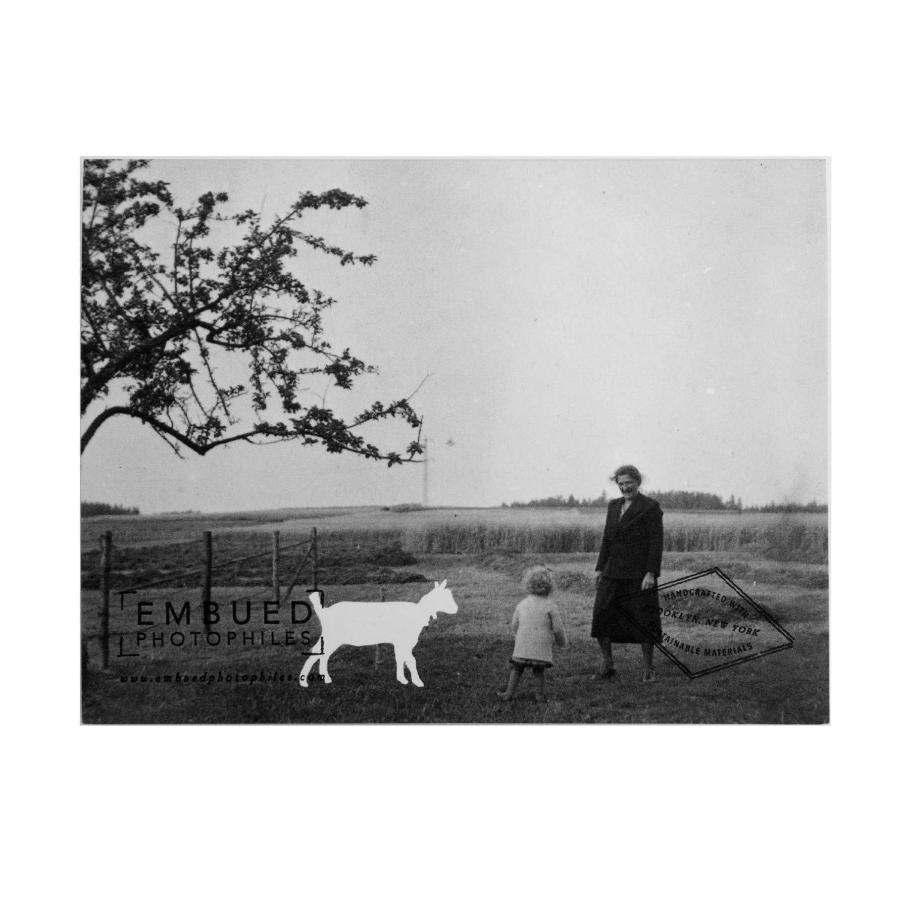 Embued Photophiles - Vente Cartes d'anniversaire - Carte de joyeux anniversaire de chèvre1