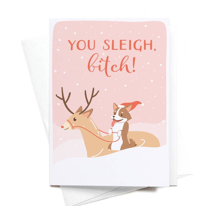Easyhand Goods – formerly Onderkast - Wholesale Stationery/Notecard Set - You Sleigh, B*tch! Folded Greeting Note Set of 101