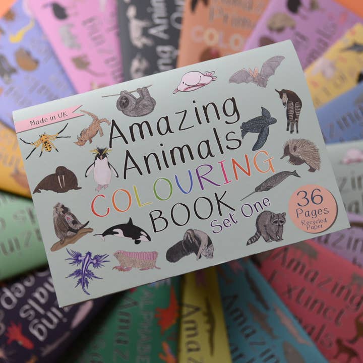 Amazing Animals Set One Colouring Book for wholesale by Button & Squirt