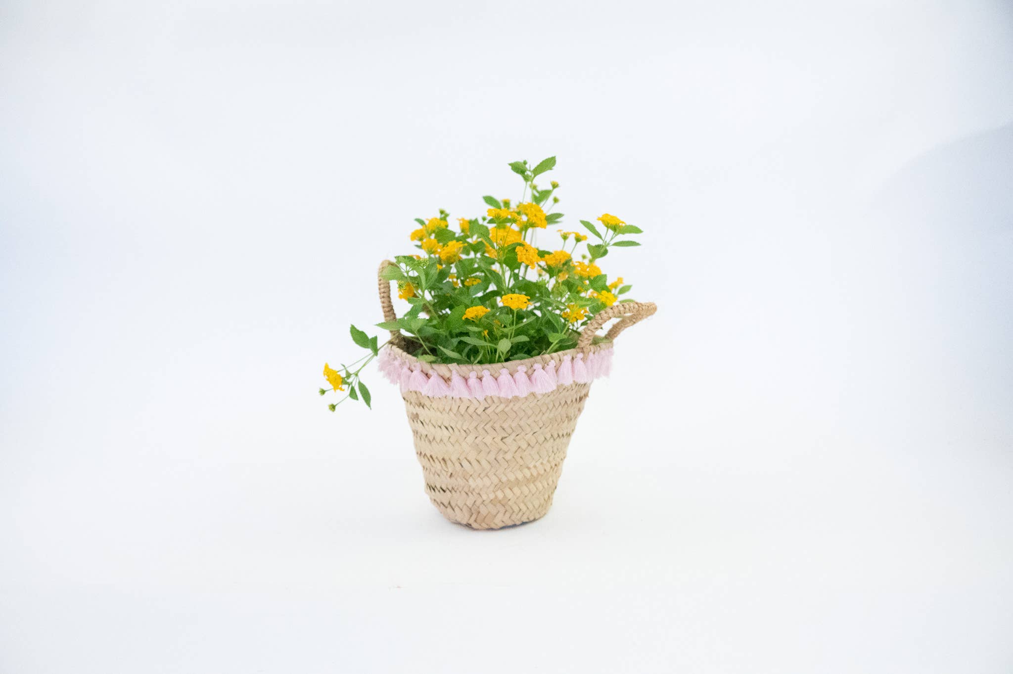 atelierBOEMIA - Venta al por mayor Cestas - Canasta Linus3