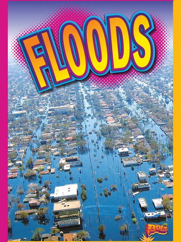 Natuurrampen: Overstromingen voor wholesale door Black Rabbit Books