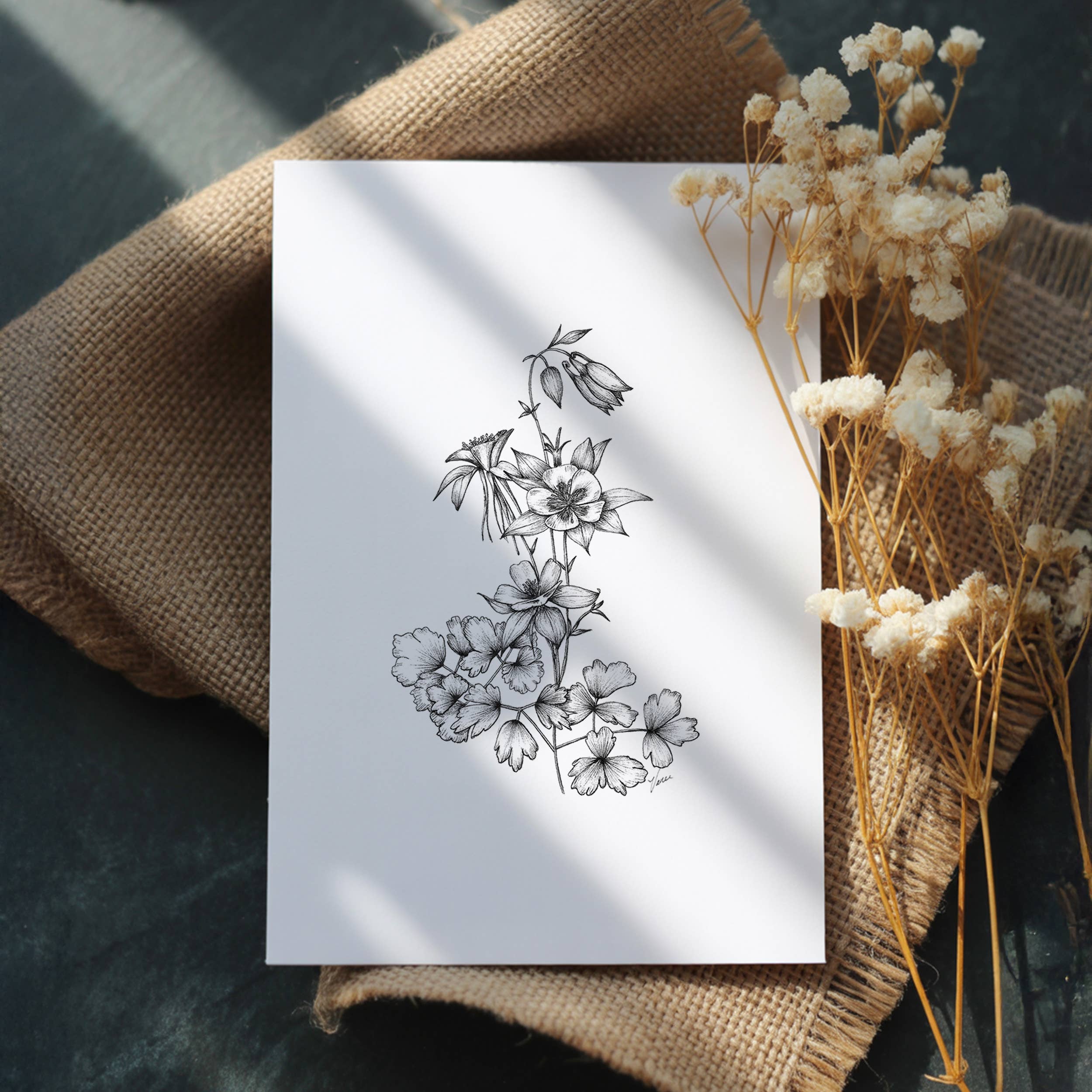 Vanee.ink - Wholesale Stationery/Notecard Set - Columbine Notecard (Colorado)1