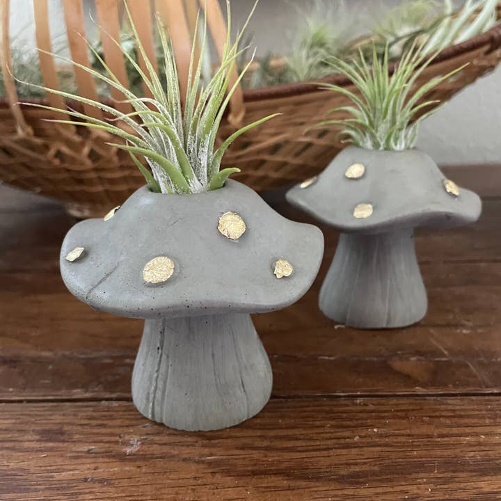 "The Enchanted" Cement Air Plant Holder for wholesale by Sage Planta