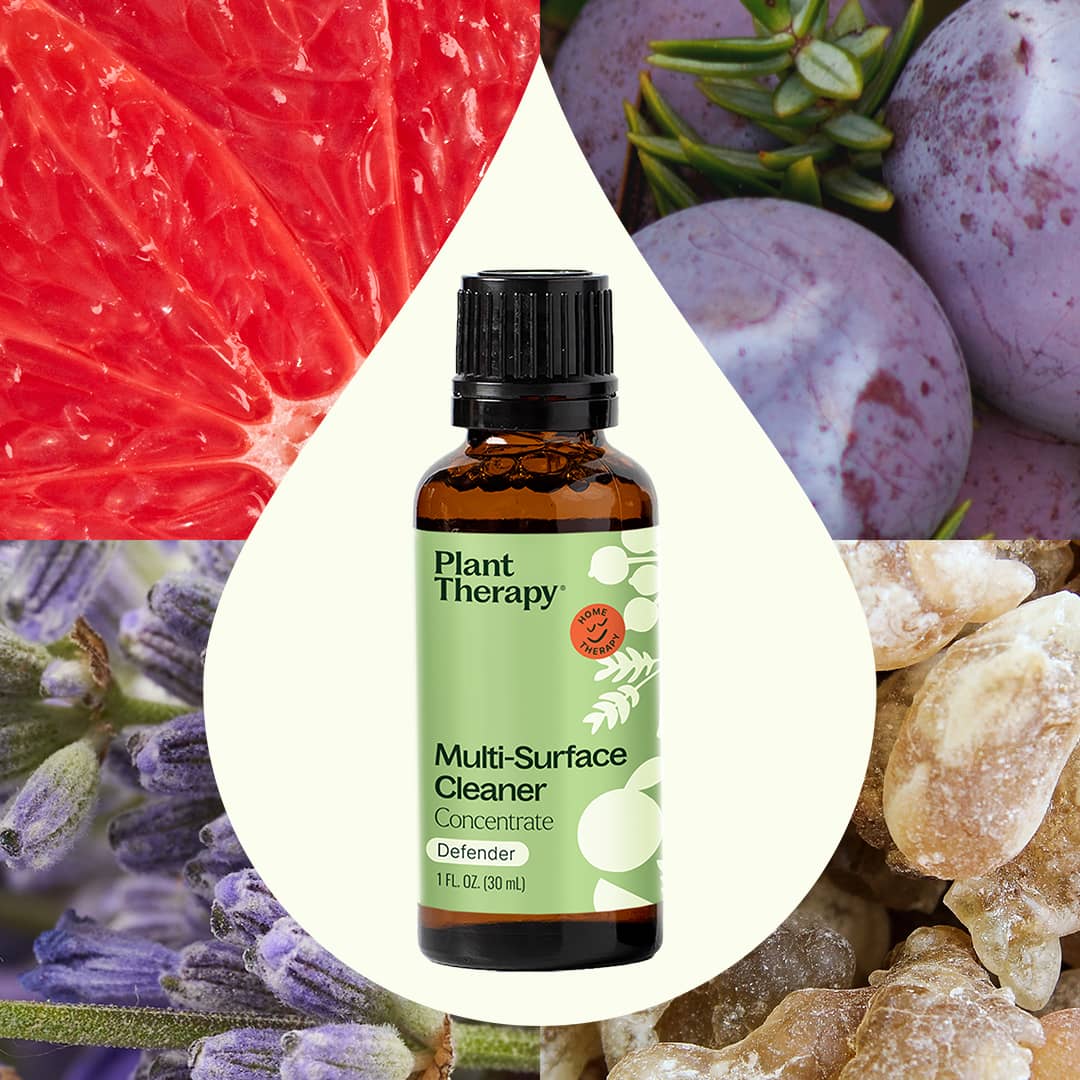 Plant Therapy - Wholesale Multi-Surface Cleaner - Multi-Surface Cleaner Concentrate ( Defender 2pk )2