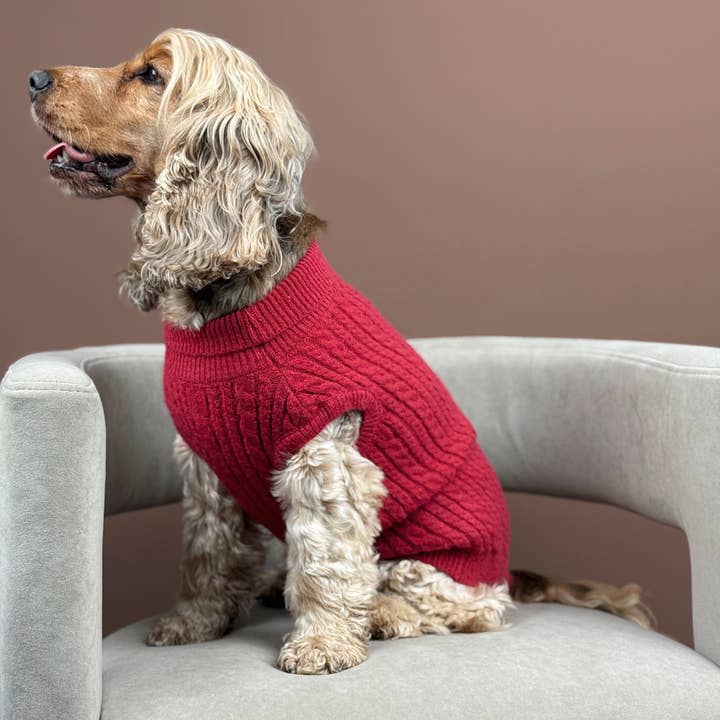 Cocopup London - Wholesale Pet jumper – Dog - Cable Knit Jumper - Mulled Wine9