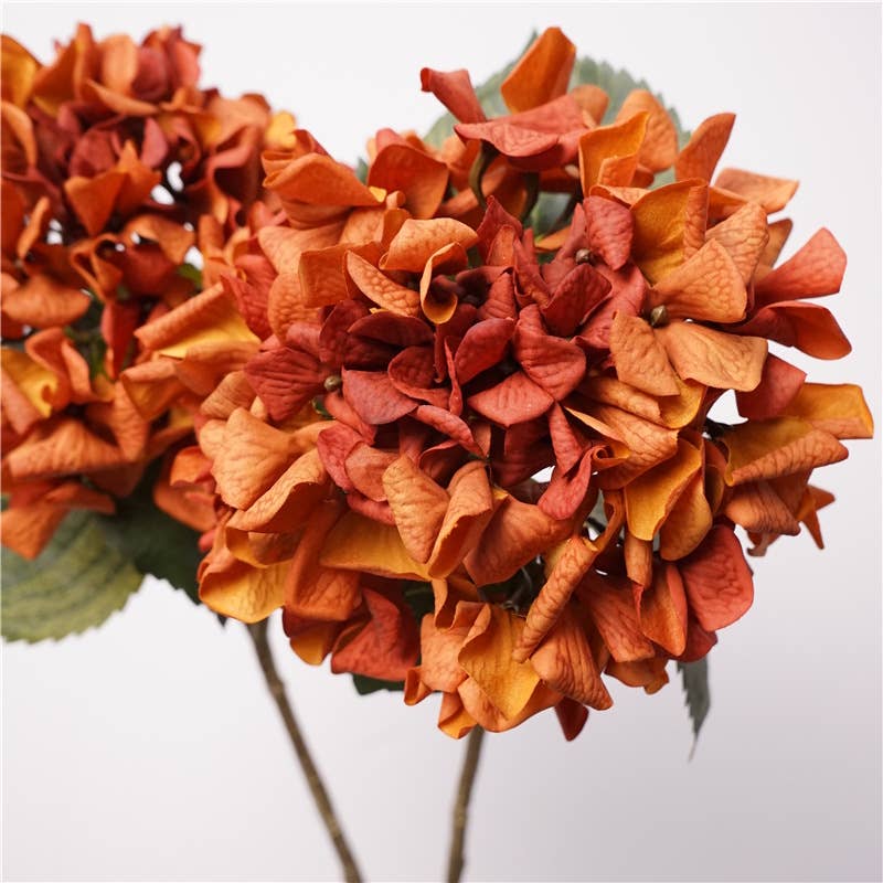 Angel Isabella - Wholesale Artificial Flowers - 24"Lux Designer-Grade Ultra-Realistic Hydrangea–(7"Bloom)6
