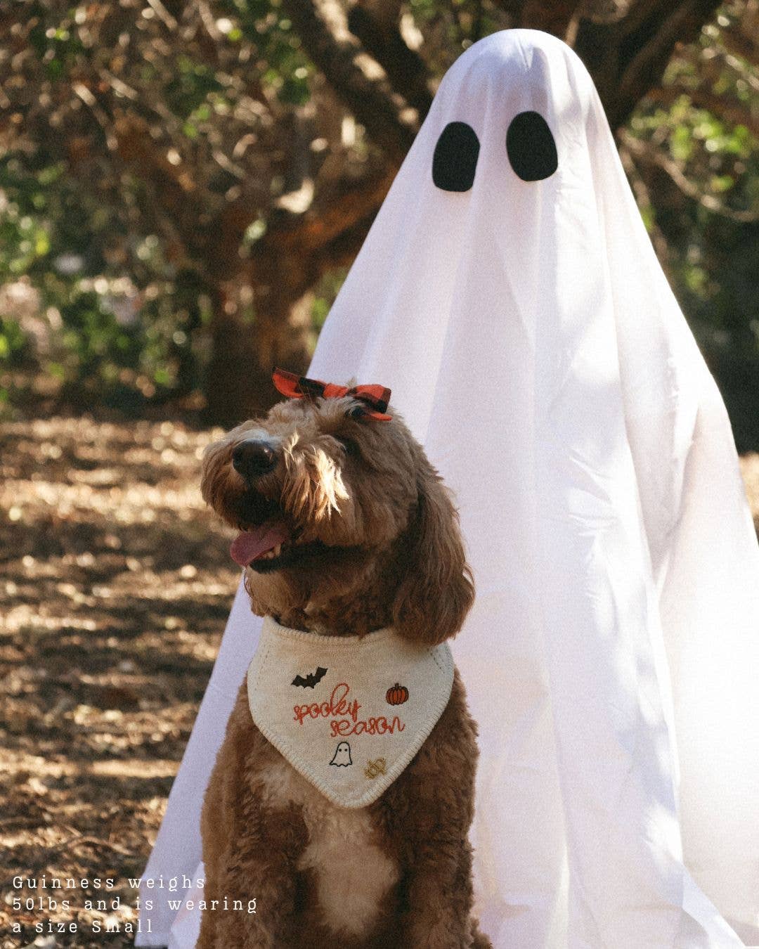 The Deluxe Pup - Wholesale Pet Bandana - Dog - BANDANA | SPOOKY SEASON2