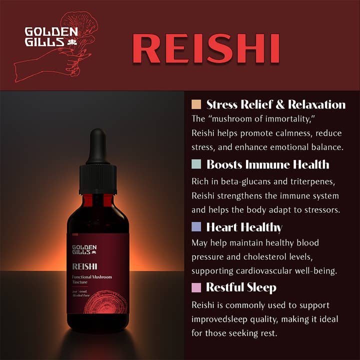 Golden Gills – wholesale Tinktur – Reishi-tinktur - 4 oz/120 ml