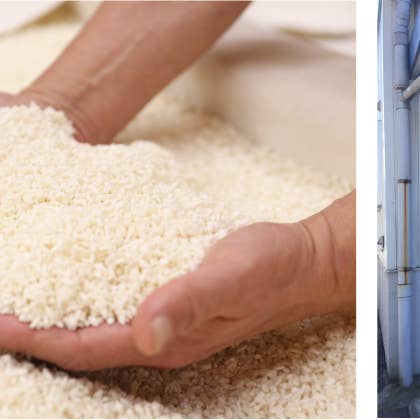 Japan Artisans - Wholesale Hot Sauce - Karazo-Fermented Chili Hot Sauce 180g –From Oku-Tajima Japan7