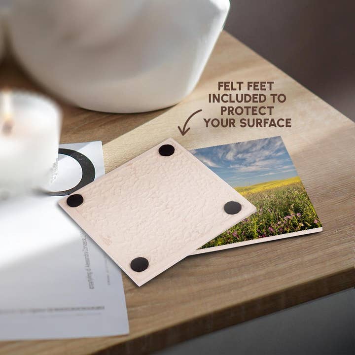 3dRose - Wholesale Coasters - 3dRose, Washington State, Palouse. Landscape of vetch and Canola fields., Coaster3