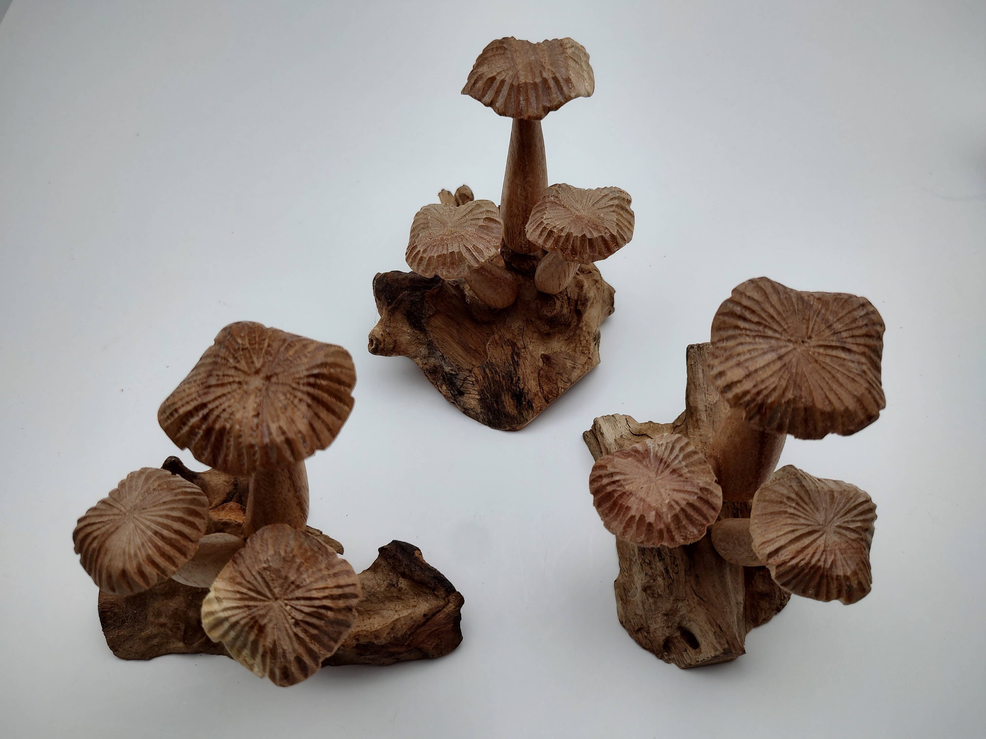 OTOP USA – Engroshandel Bordpynt – Blomstersvamp Lille5