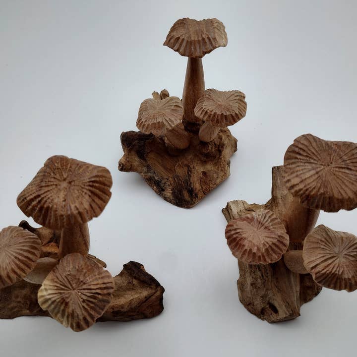 OTOP USA – Engroshandel Bordpynt – Blomstersvamp Lille5