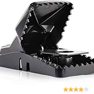 RodenticideCanada.com - Wholesale - 6x Rodents Away Mice Mouse Repellent Deterrent Indoor Value Pack + 6x Aniluxe-Large Rat Trap1