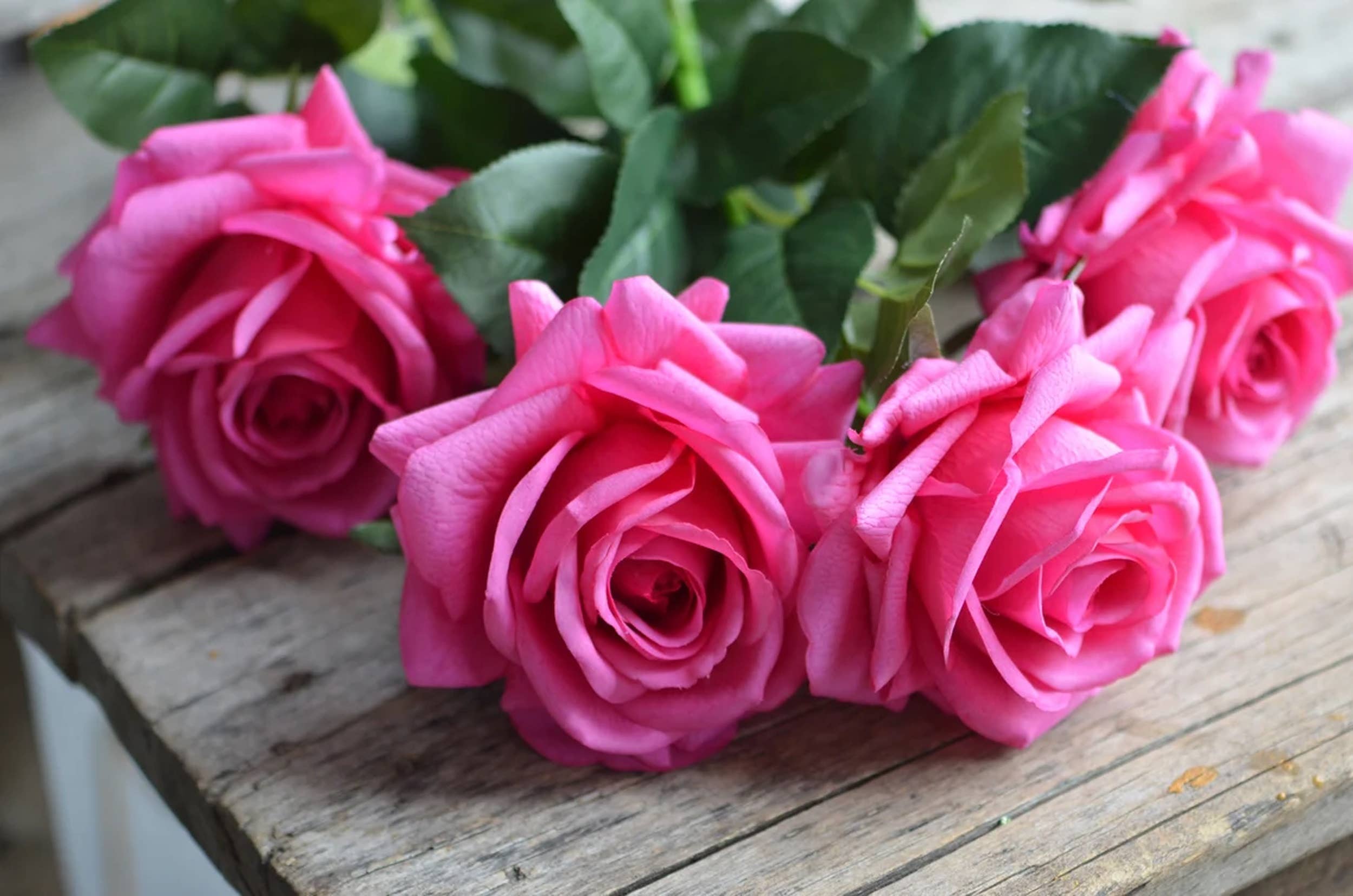 Angel Isabella – Flores artificiais por atacado – Rosa premium realista com toque natural, flor grande de 74 cm16