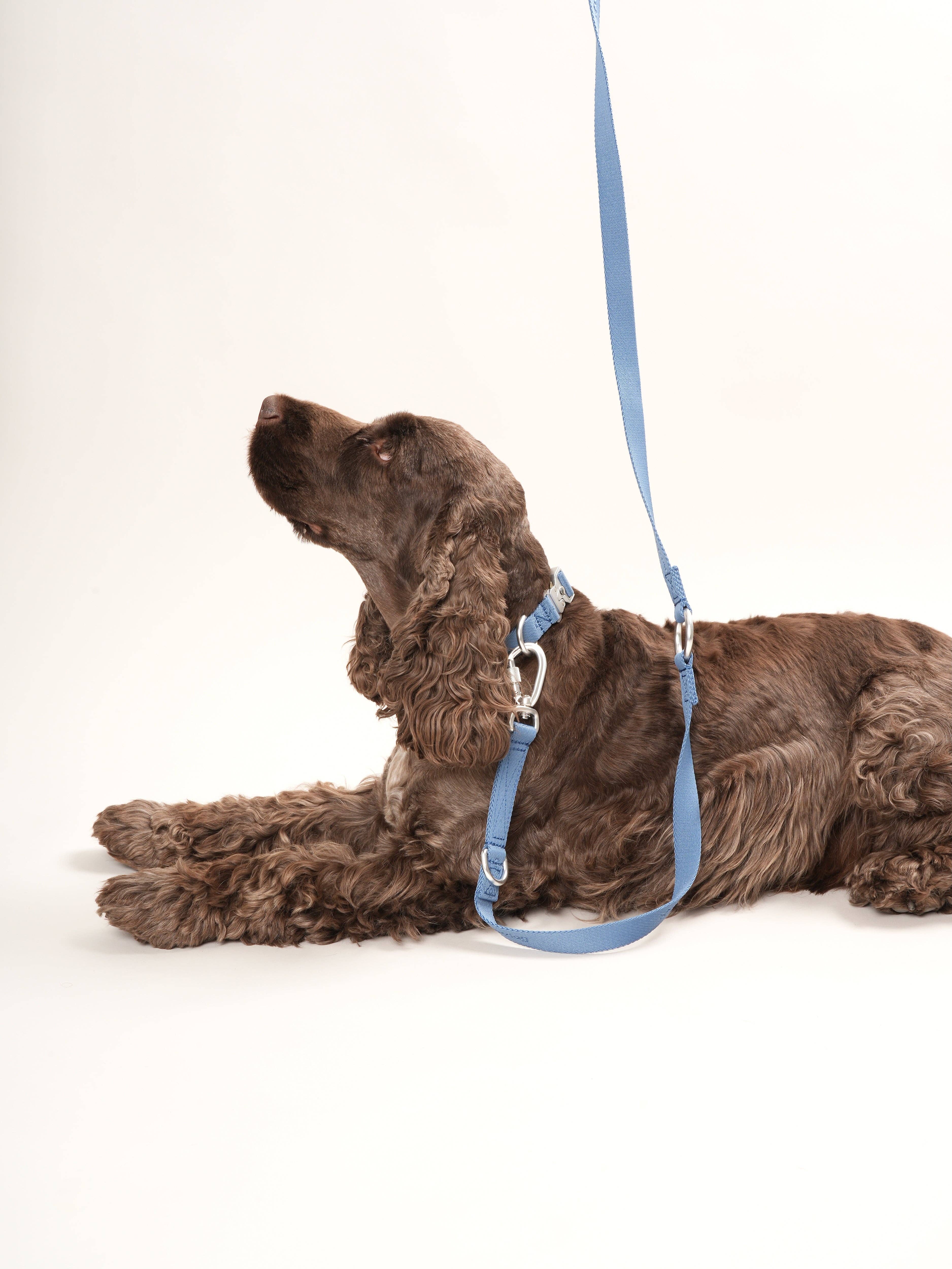 Nordog - Wholesale Pet Leash - Dog - Performance Dog Leash (dusty blue)2