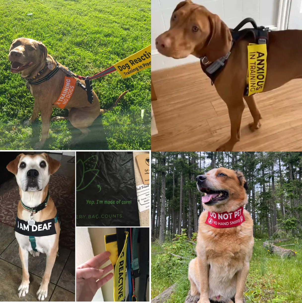 Best Friend Supplies Co - Wholesale Pet Leash - Dog - Nervous Leash Sleeve1