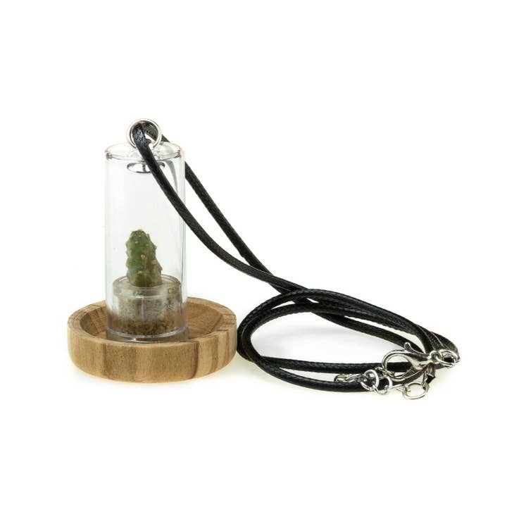 MINÌ®Italia di Luigi Paolicchi - Wholesale Kids Necklace - Kids - Minì the Jewels - Colors Fun Necklace - small cactus plants1