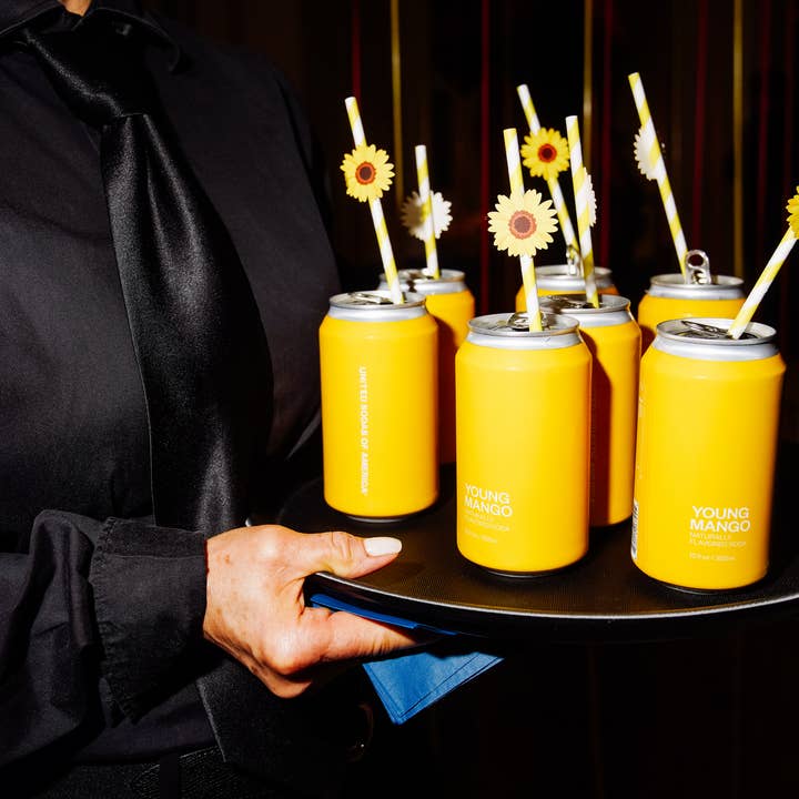 United Sodas - Wholesale Soda/Carbonated Drink - Naturally Flavored Soda - Young Mango2